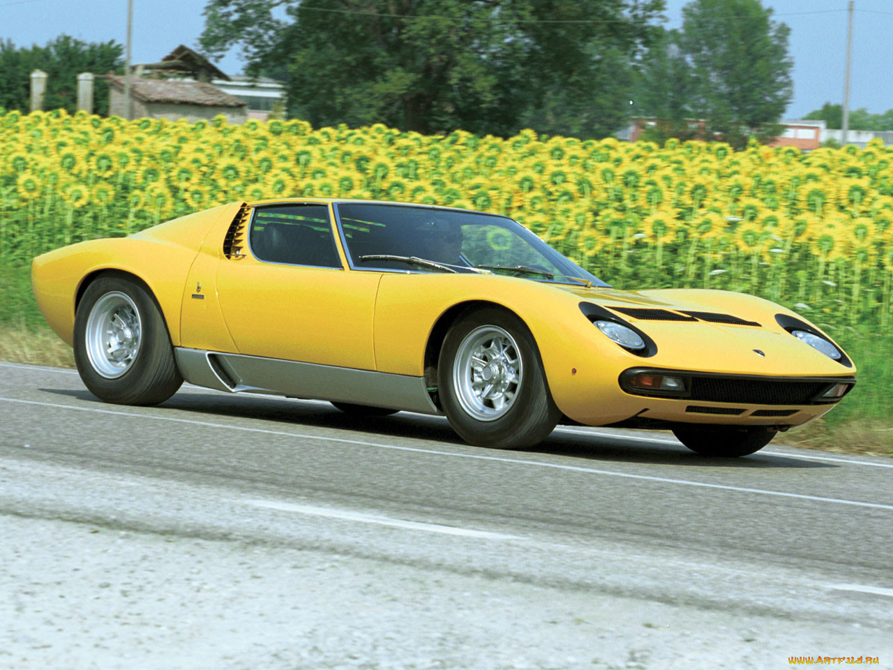 , lamborghini